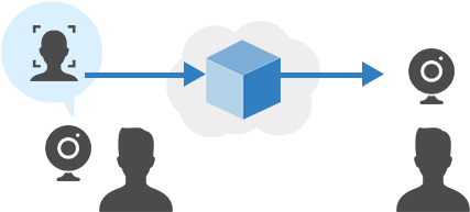 Face recognition/recognition systems