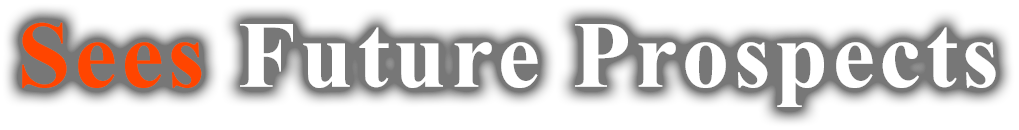 Seesの未来展望